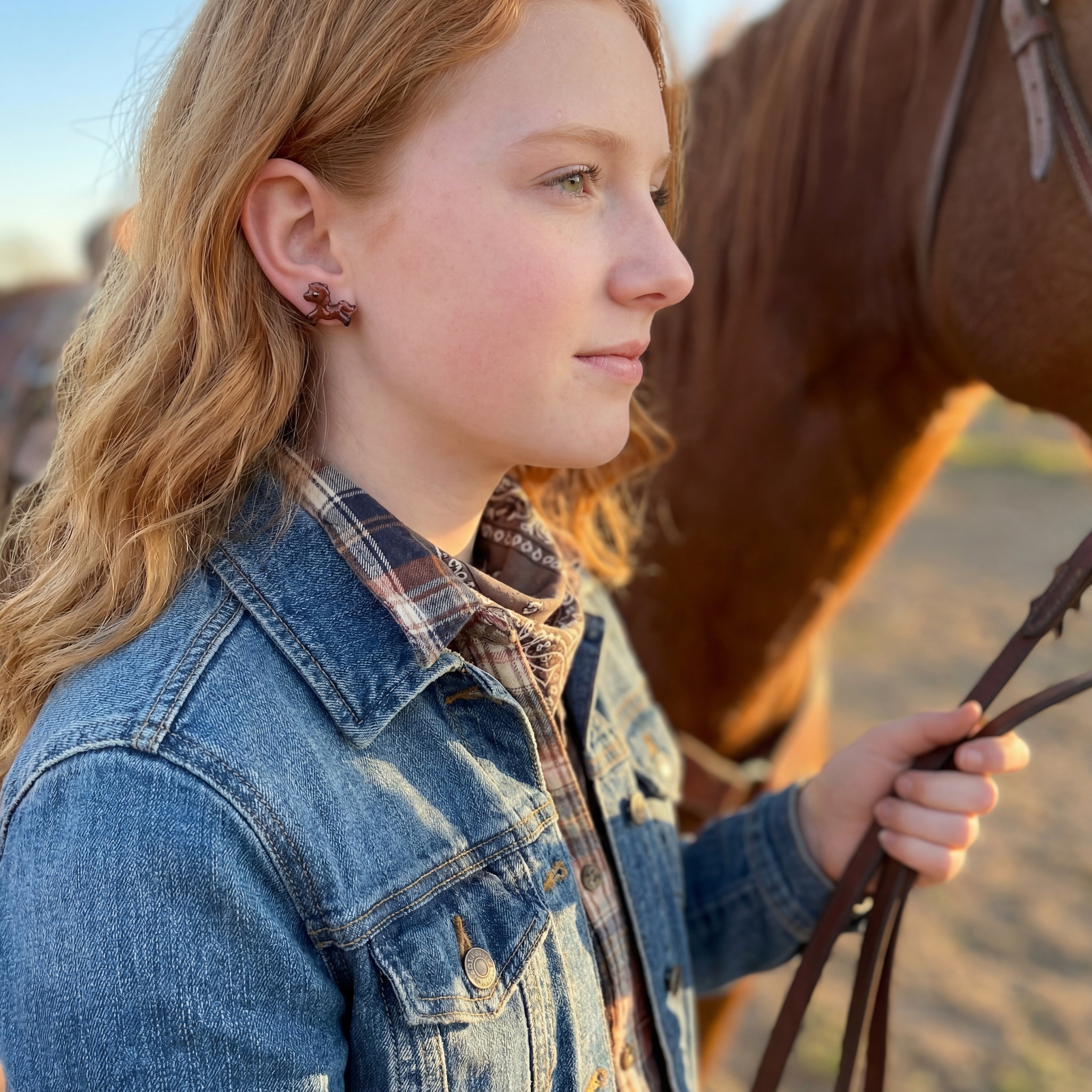 Farm Animal Horse Stud Earrings SA10