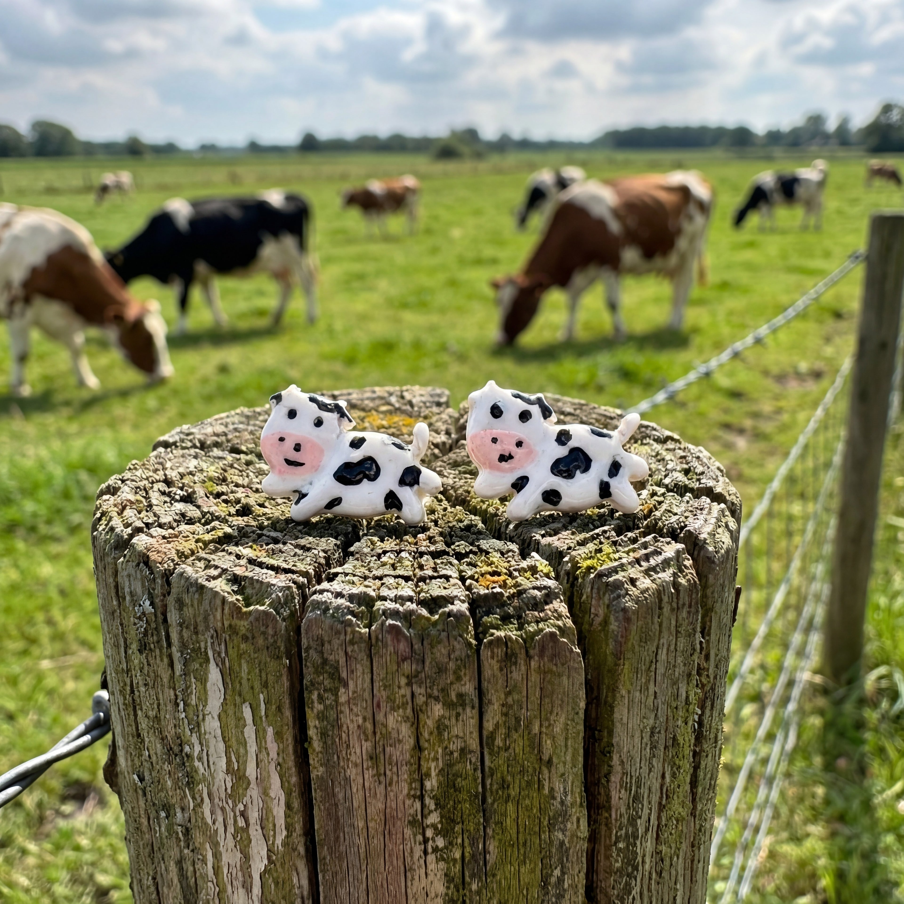 Farm Animal Cow Stud Earrings SA11